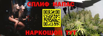 ALPHA PVP Коммунар