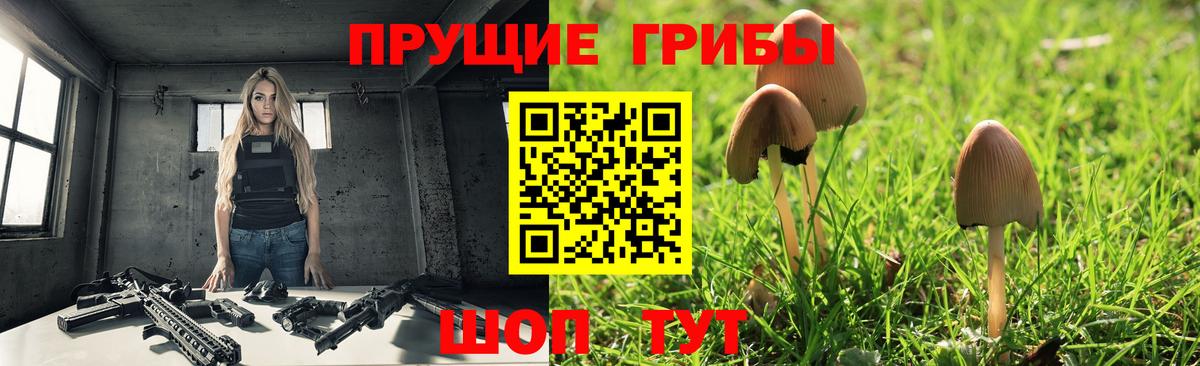Галлюциногенные грибы MAGIC MUSHROOMS Алапаевск