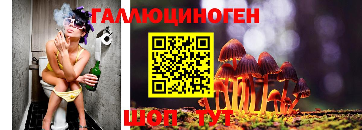 Галлюциногенные грибы Cubensis  Вход с VPN  продажа наркотиков  Алапаевск 